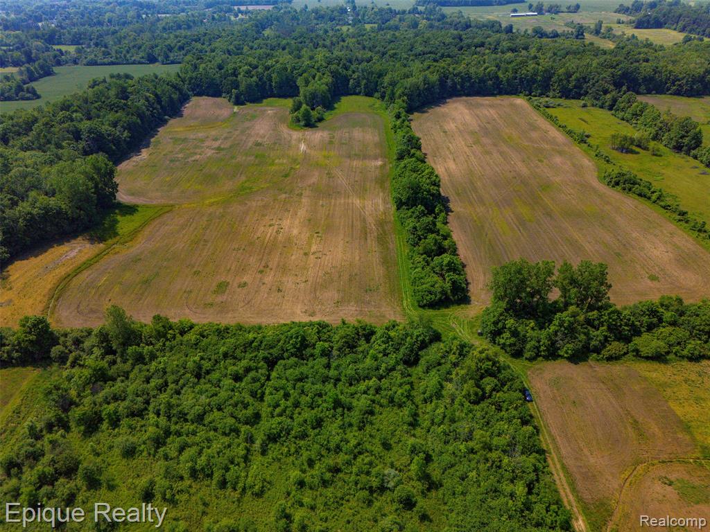 0 Jeddo Road Yale, MI 48097 - Photo 13 of 21