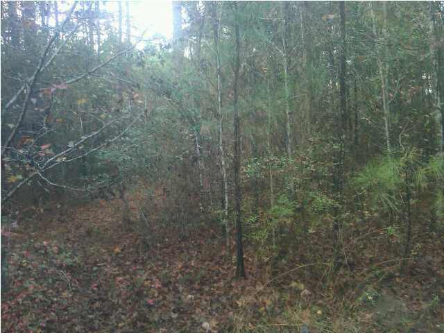 1 Sullivans Ferry Road Ridgeville, SC 29472 - Photo 2 of 4 Additional Photo
