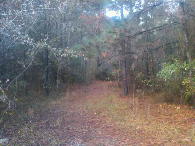 1 Sullivans Ferry Road Ridgeville, SC 29472 - Photo 3 of 4 Additional Photo