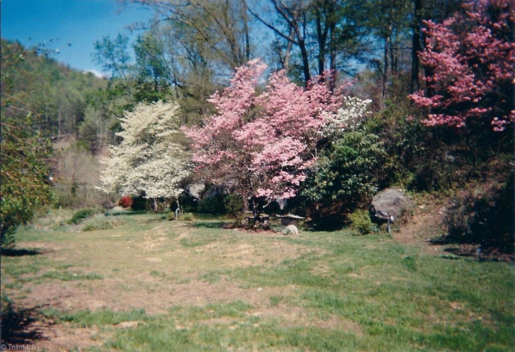 5085 Mt Zion Road Ferguson, NC 28624 - Photo 11 of 44 Gallery Image 11