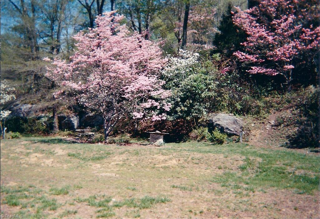 5085 Mt Zion Road Ferguson, NC 28624 - Photo 13 of 44 Gallery Image 13