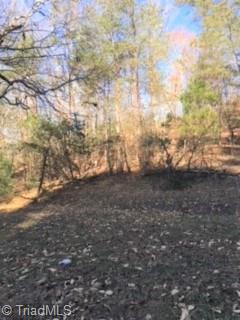5085 Mt Zion Road Ferguson, NC 28624 - Photo 41 of 44 Gallery Image 41
