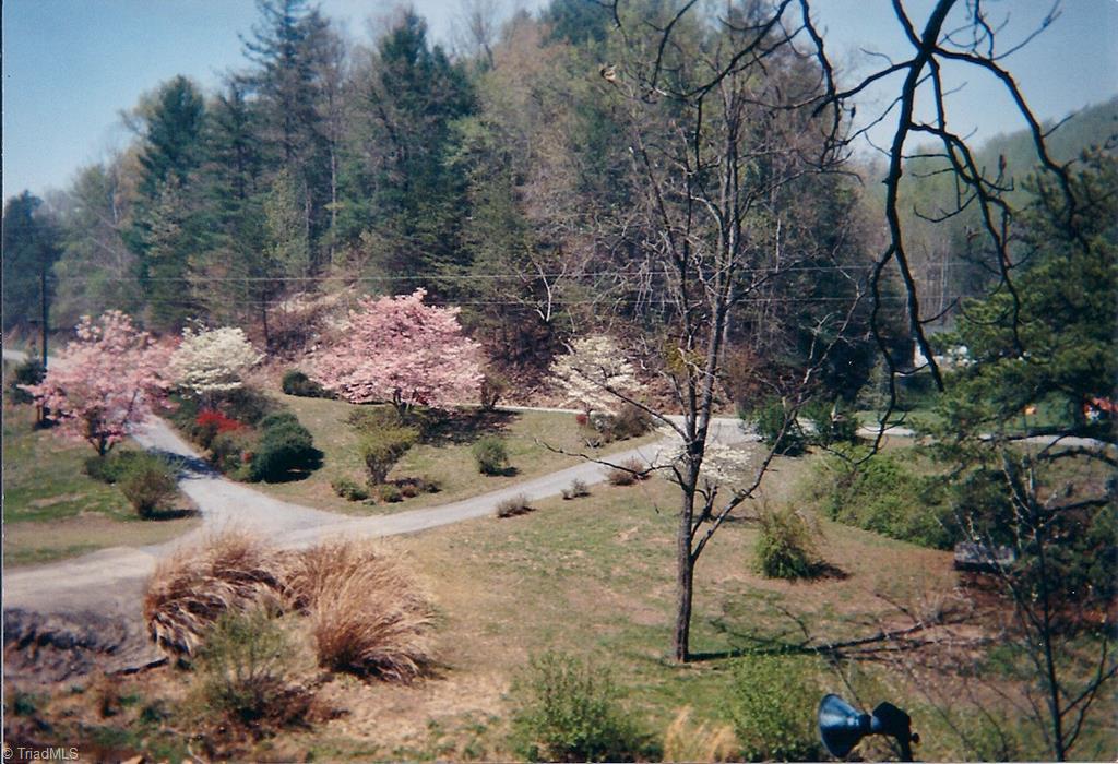 5085 Mt Zion Road Ferguson, NC 28624 - Photo 8 of 44 Gallery Image 8