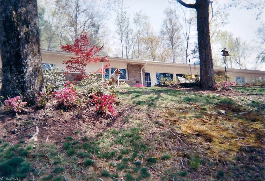 5085 Mt Zion Road Ferguson, NC 28624 - Photo 9 of 44 Gallery Image 9