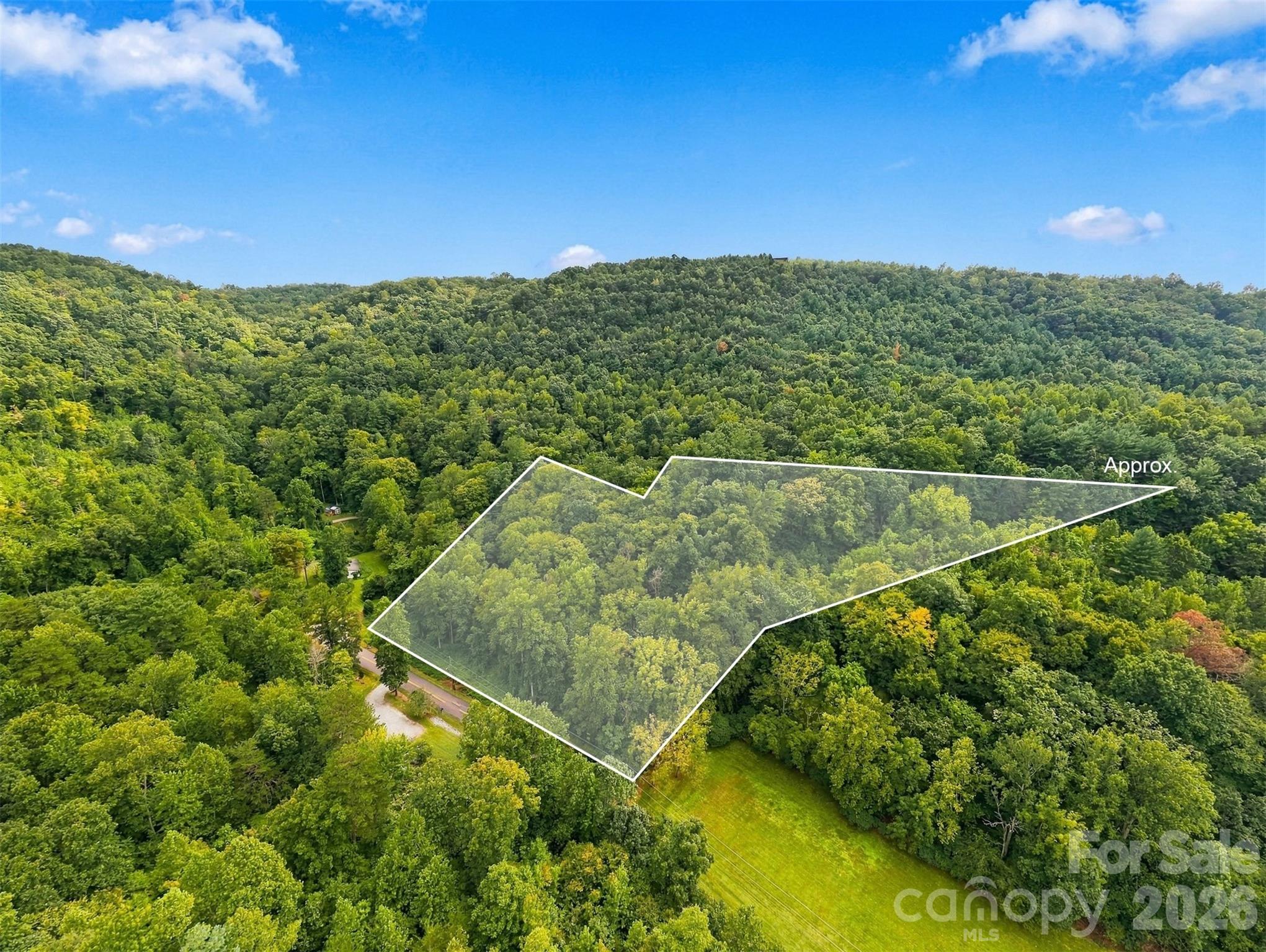 Tbd Haigler Road Lenoir, NC 28645 - Photo 3 of 11 Gallery Image 3