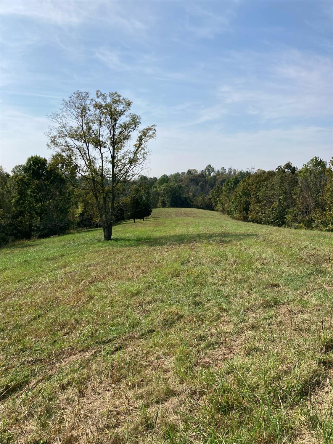 1687 Ellis Run Road Aberdeen, OH 45101 - Photo 38 of 50