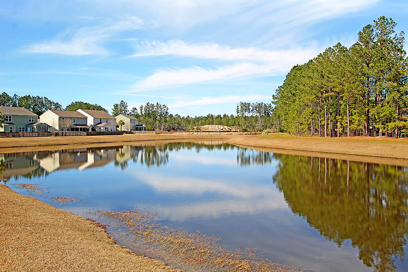 110 Brookhaven Road Summerville, SC 29486 - Photo 2 of 42 IMG_5837-copy