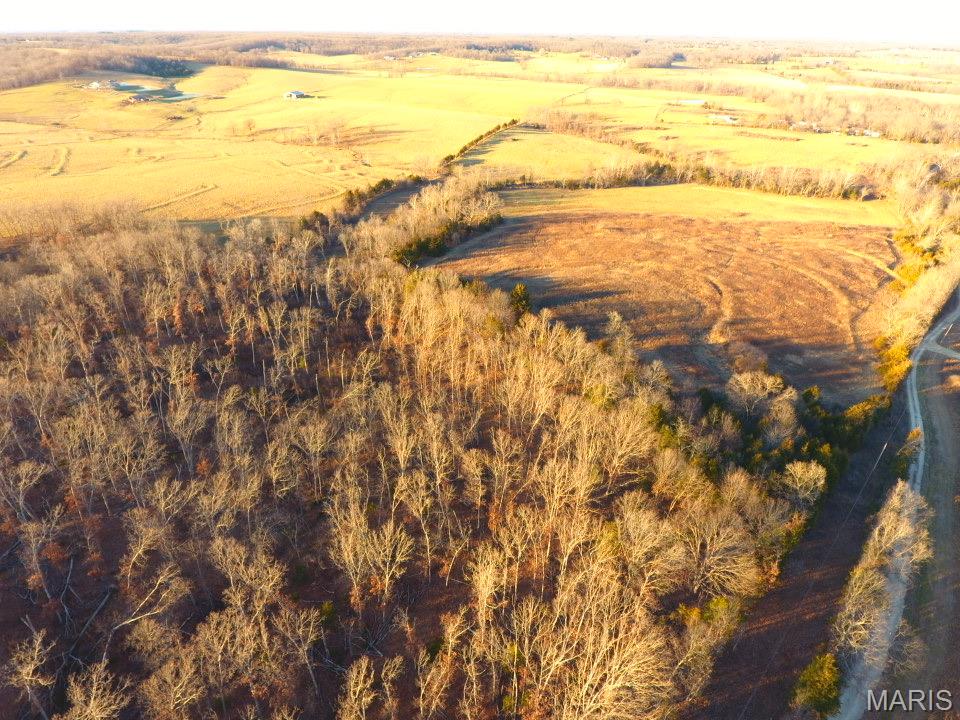 Tbd Van Horn Road Bland, MO 65014 - Photo 41 of 47
