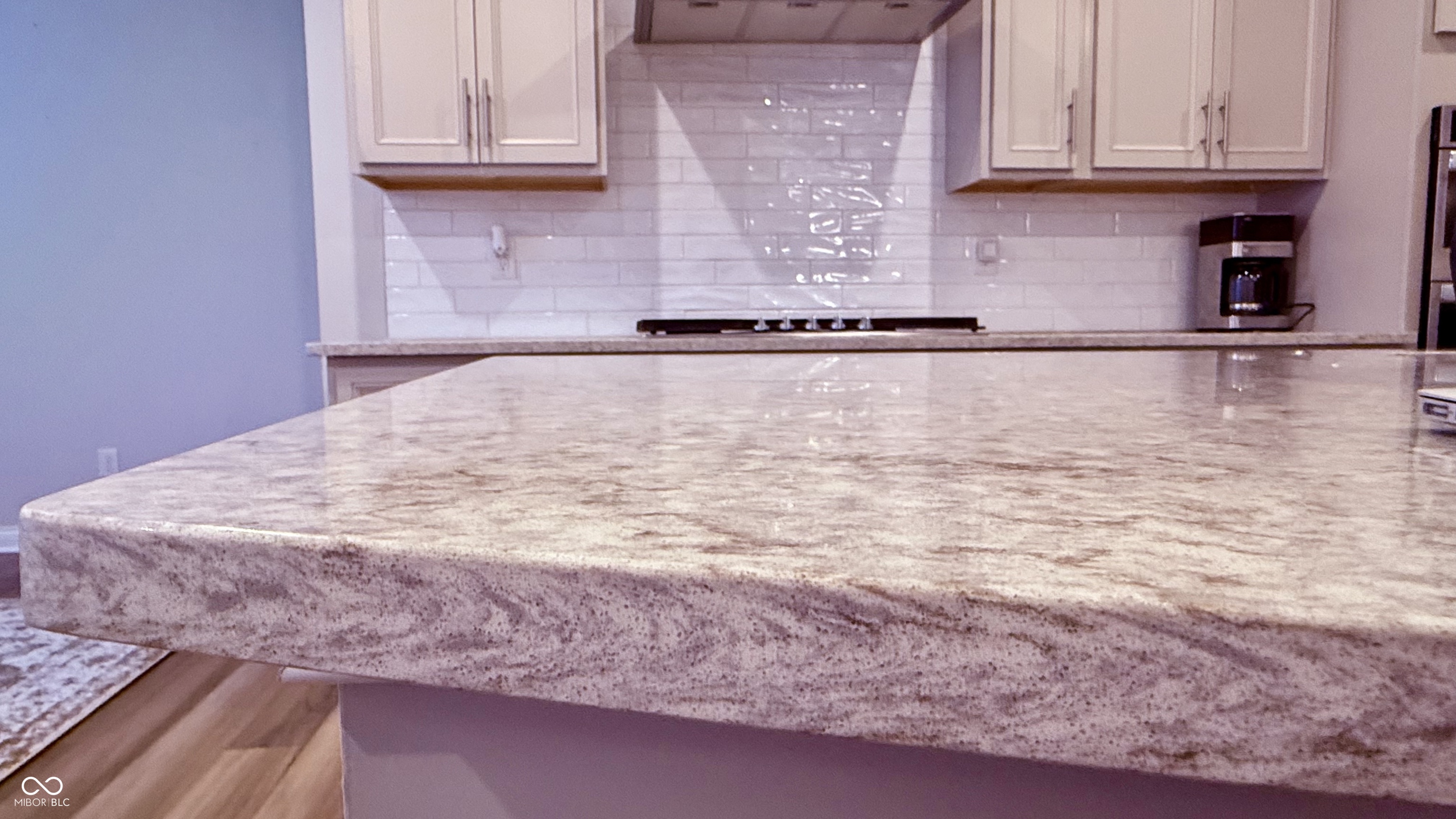 16067 Loire Valley Drive Fishers, IN 46037 - Photo 9 of 54