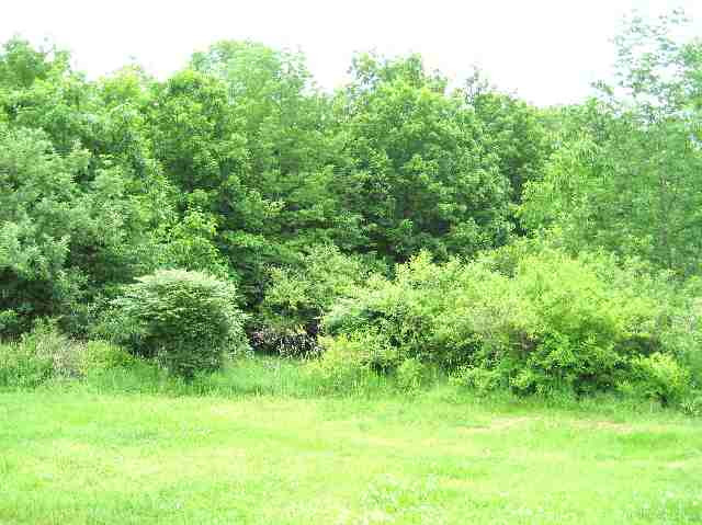 783 Armlin Hill Road Broome, NY 12122 - Photo 8 of 8 Photo 8