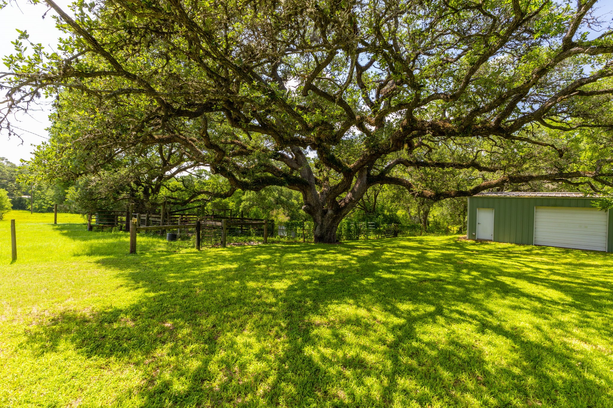 3505 Brunes Mill Road Columbus, TX 78934 - Photo 39 of 49