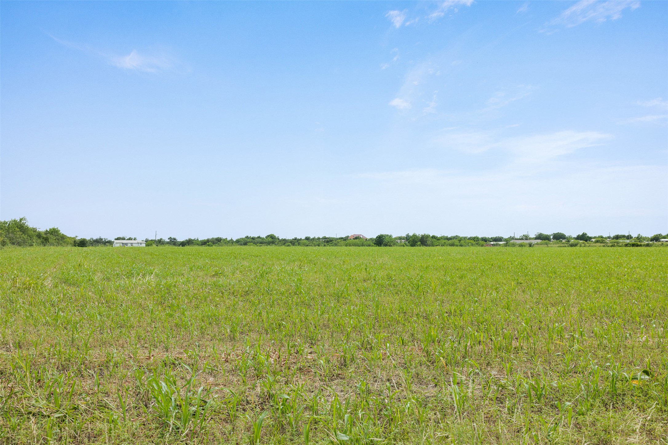 21814 Hogeye Road Manor, TX 78653 - Photo 14 of 37