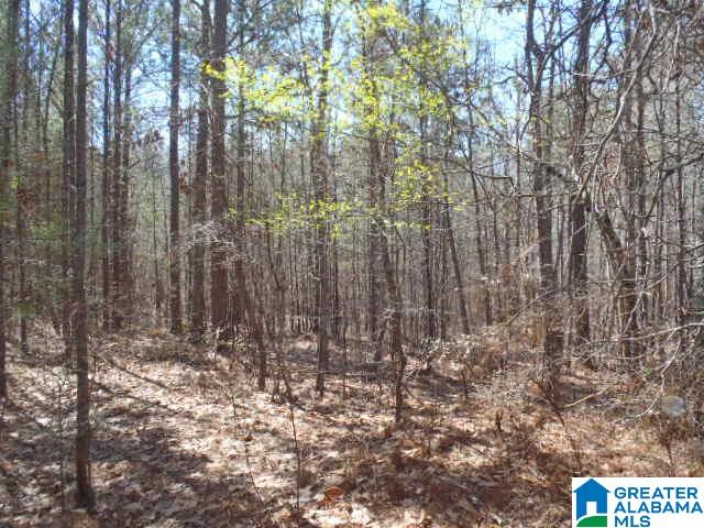 0 Shocco Springs Road, Unit 40 5 AC Talladega, AL 35160 - Photo 7 of 30
