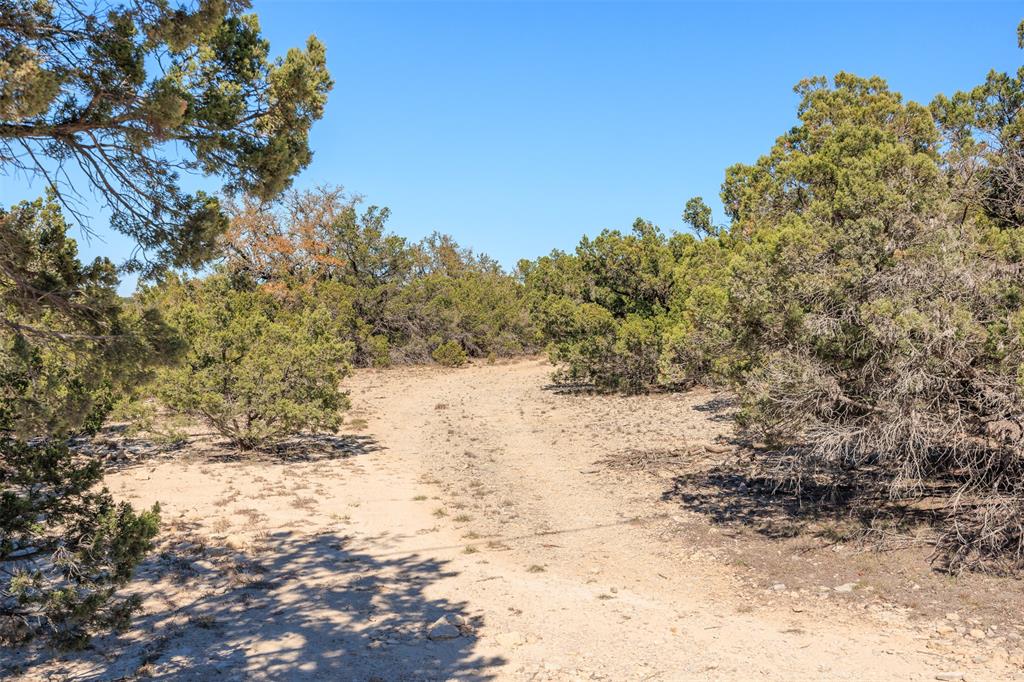221 Ranch House Road Wimberley, TX 78676 - Photo 7 of 11