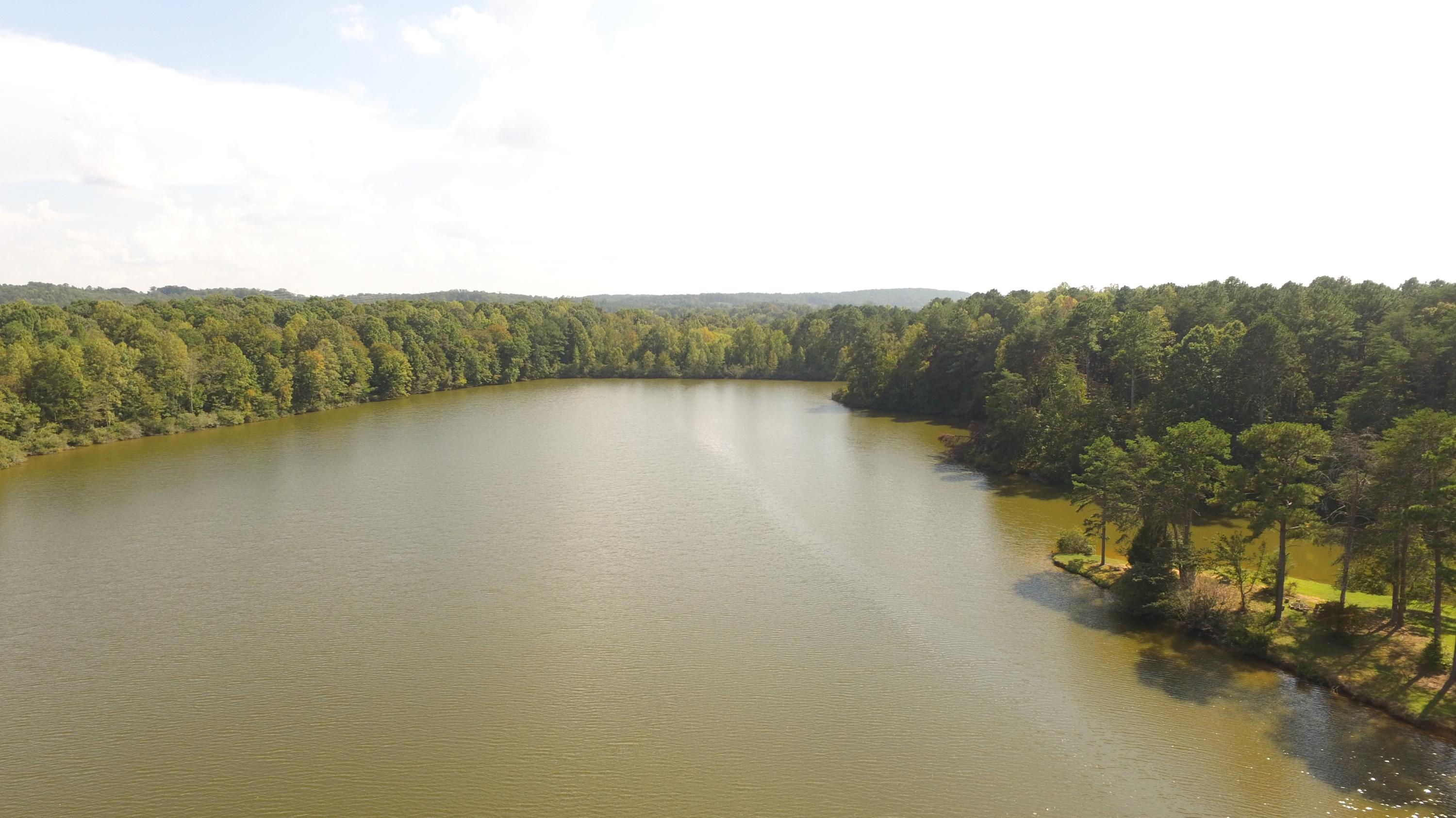 579 Ed's Lake Road LaFayette, GA 30728 - Photo 6 of 39 DJI_0359
