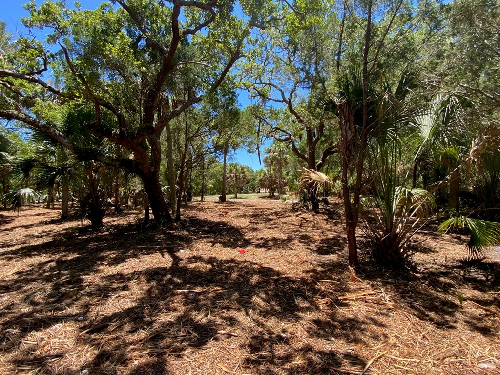 Tbd3 Indian Pass Road Port St. Joe, FL 32456 - Photo 5 of 22