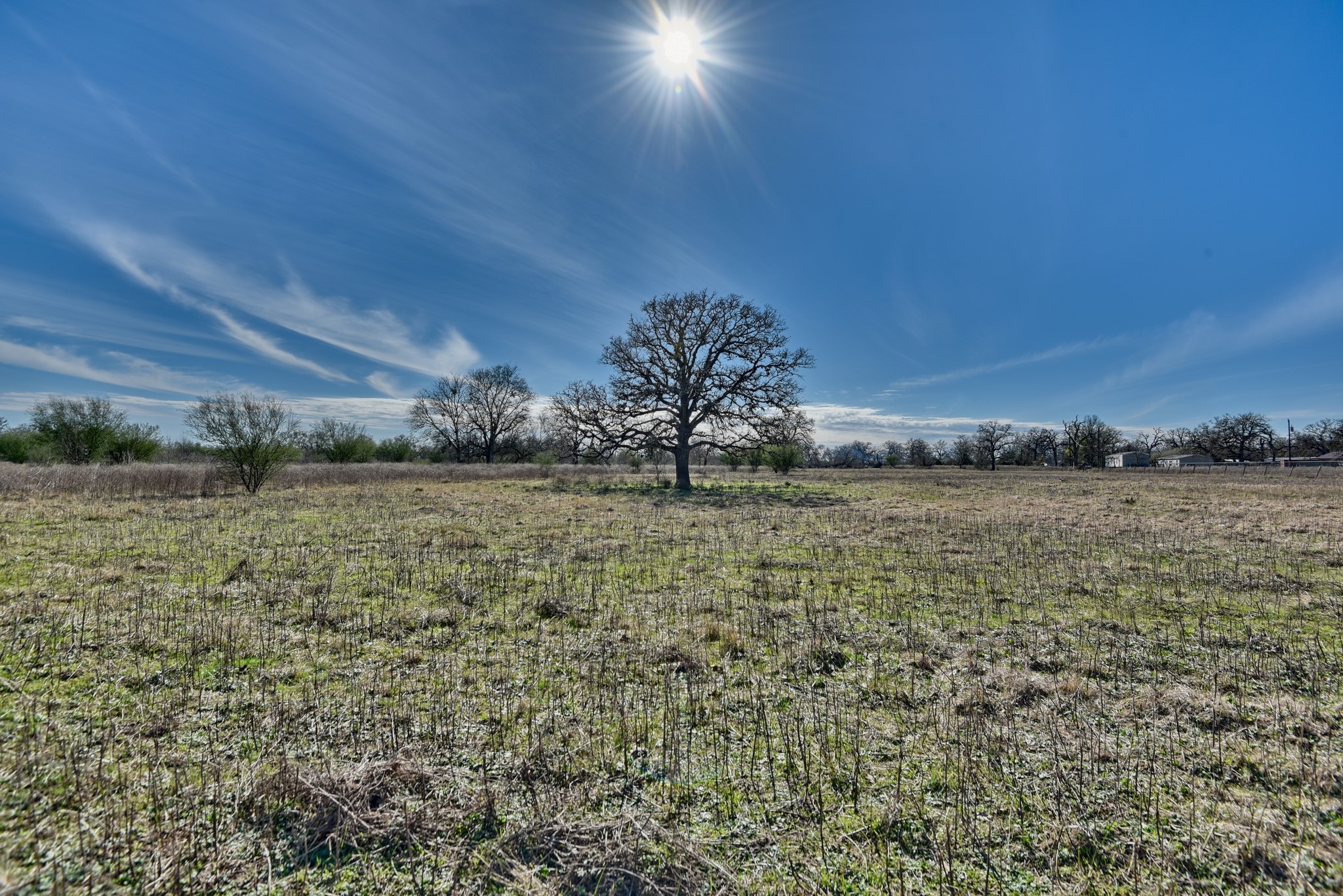 0 Newsom Road Bellville, TX 77418 - Photo 14 of 15