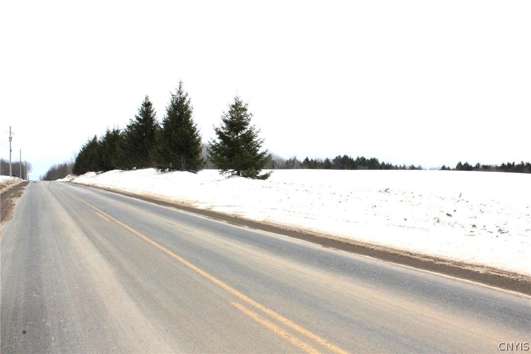 Lot 2 East Ava Road West Leyden, NY 13489 - Photo 1 of 7