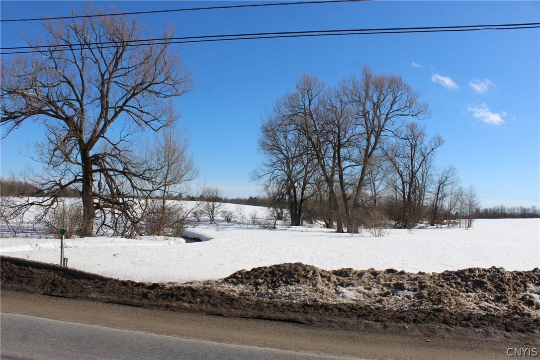 Lot 2 East Ava Road West Leyden, NY 13489 - Photo 5 of 7
