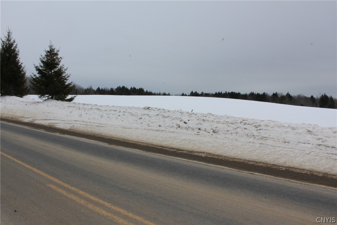 Lot 2 East Ava Road West Leyden, NY 13489 - Photo 6 of 7
