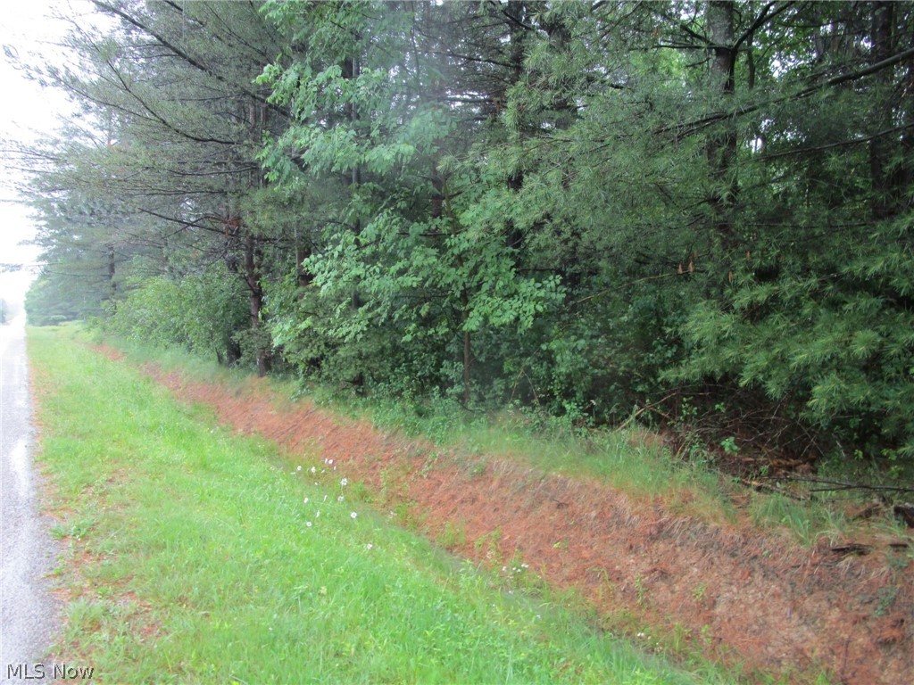 Vl Callender Road Rock Creek, OH 44084 - Photo 6 of 6