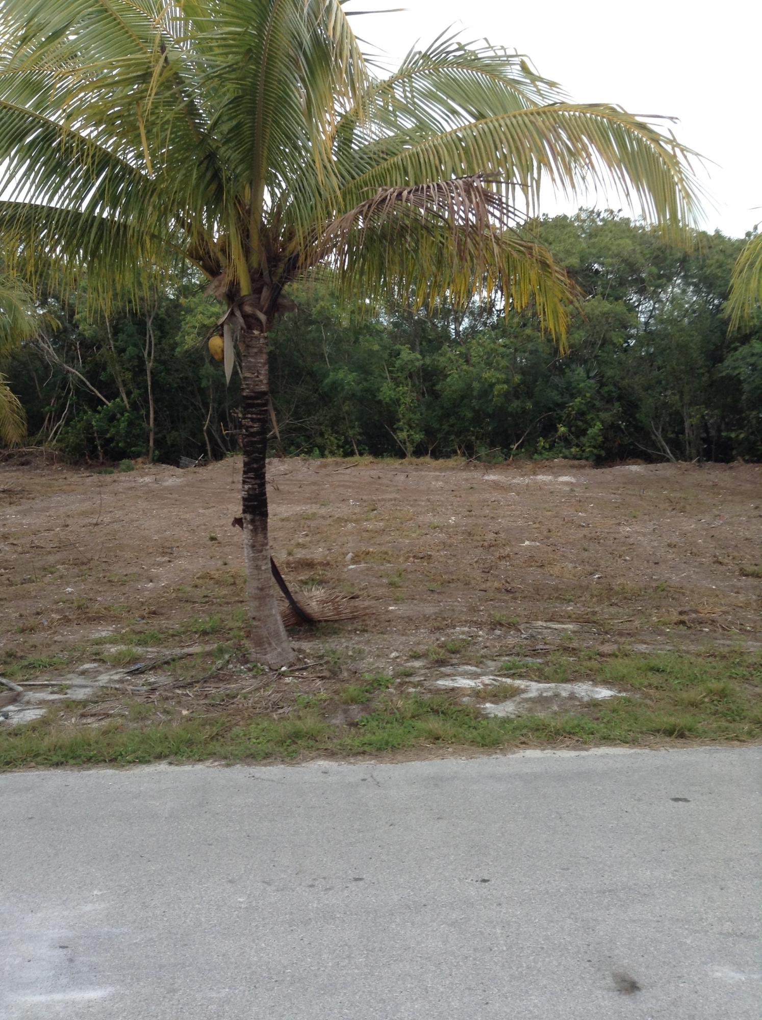Shannahan Road Summerland Key, FL 33042 - Photo 3 of 5 1-21-2015 Bernie 004