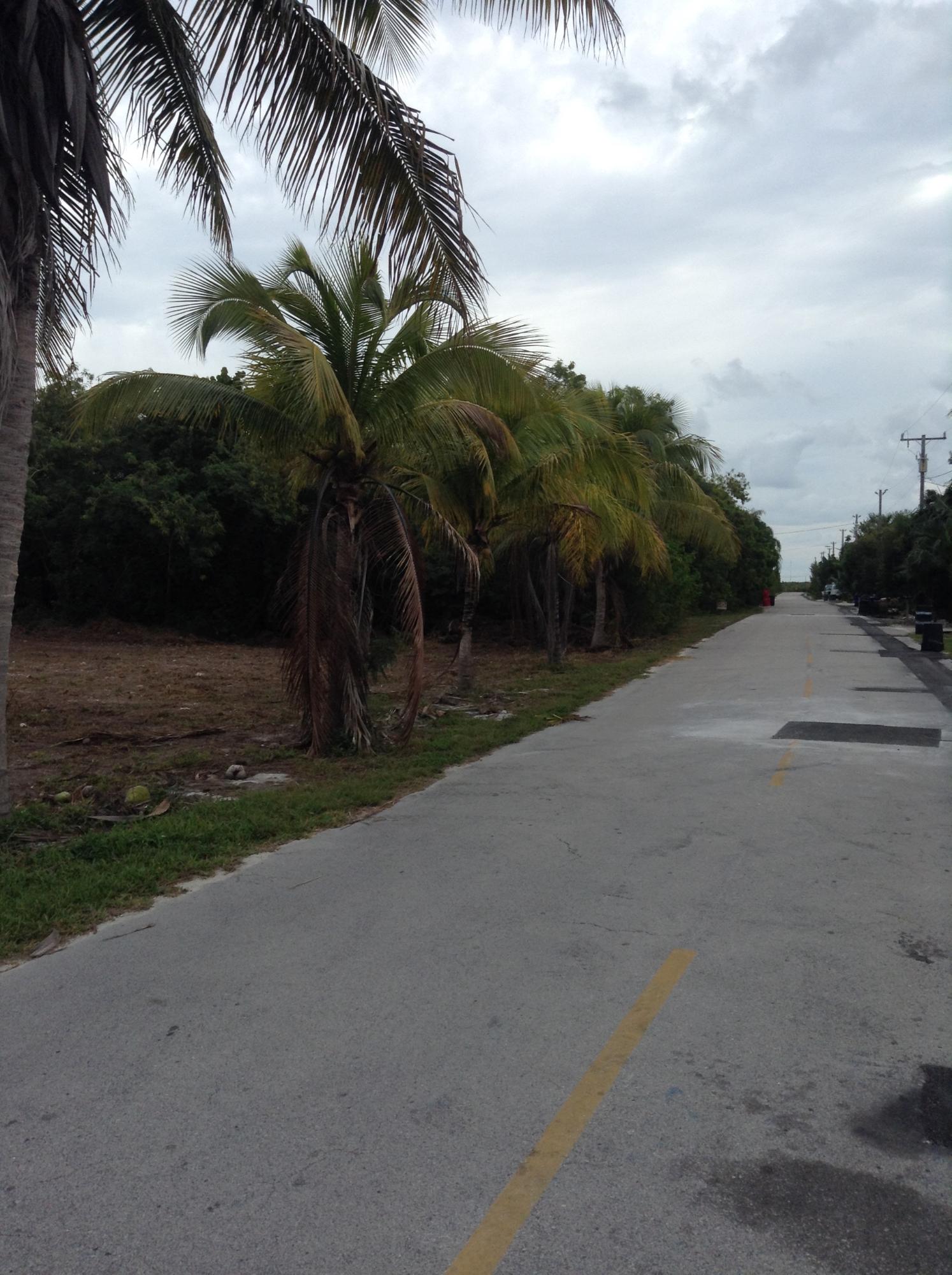 Shannahan Road Summerland Key, FL 33042 - Photo 4 of 5 1-21-2015 Bernie 003