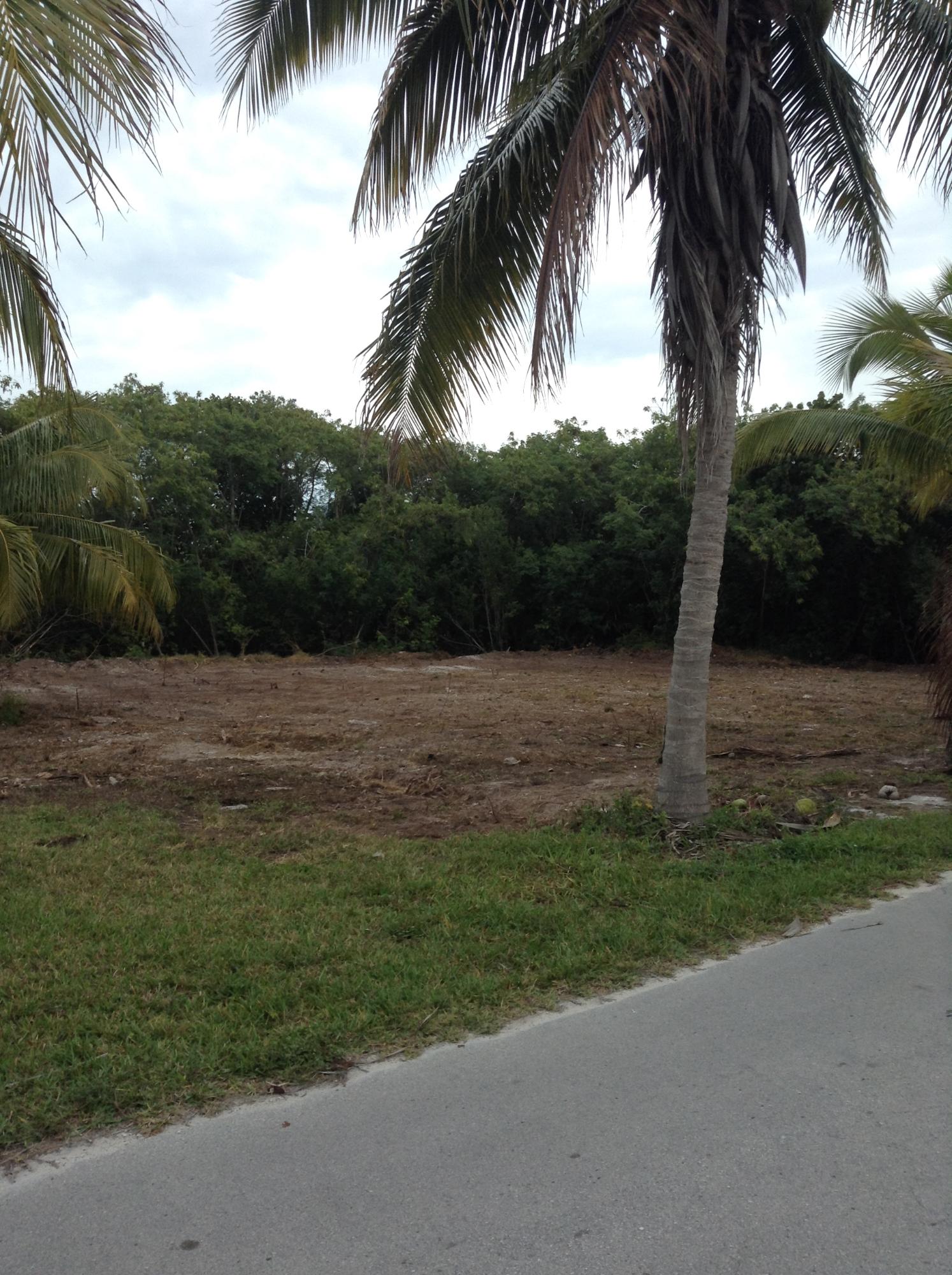 Shannahan Road Summerland Key, FL 33042 - Photo 5 of 5 1-21-2015 Bernie 002