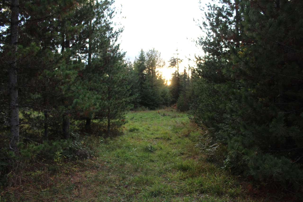 1091 Kings Lake Road Usk, WA 99180 - Photo 11 of 20