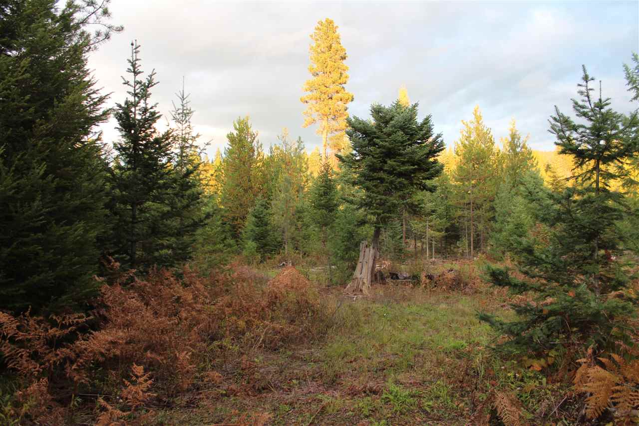 1091 Kings Lake Road Usk, WA 99180 - Photo 14 of 20