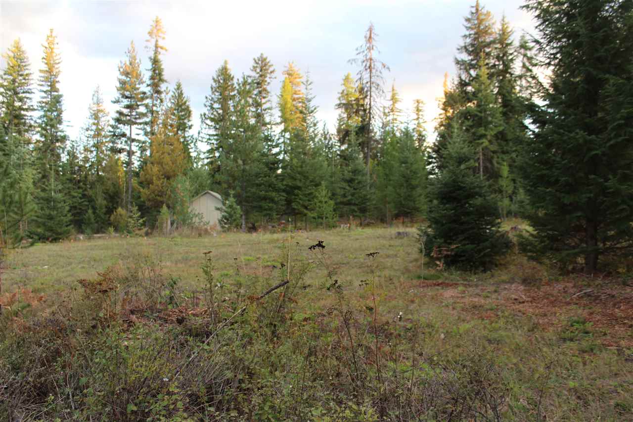 1091 Kings Lake Road Usk, WA 99180 - Photo 15 of 20