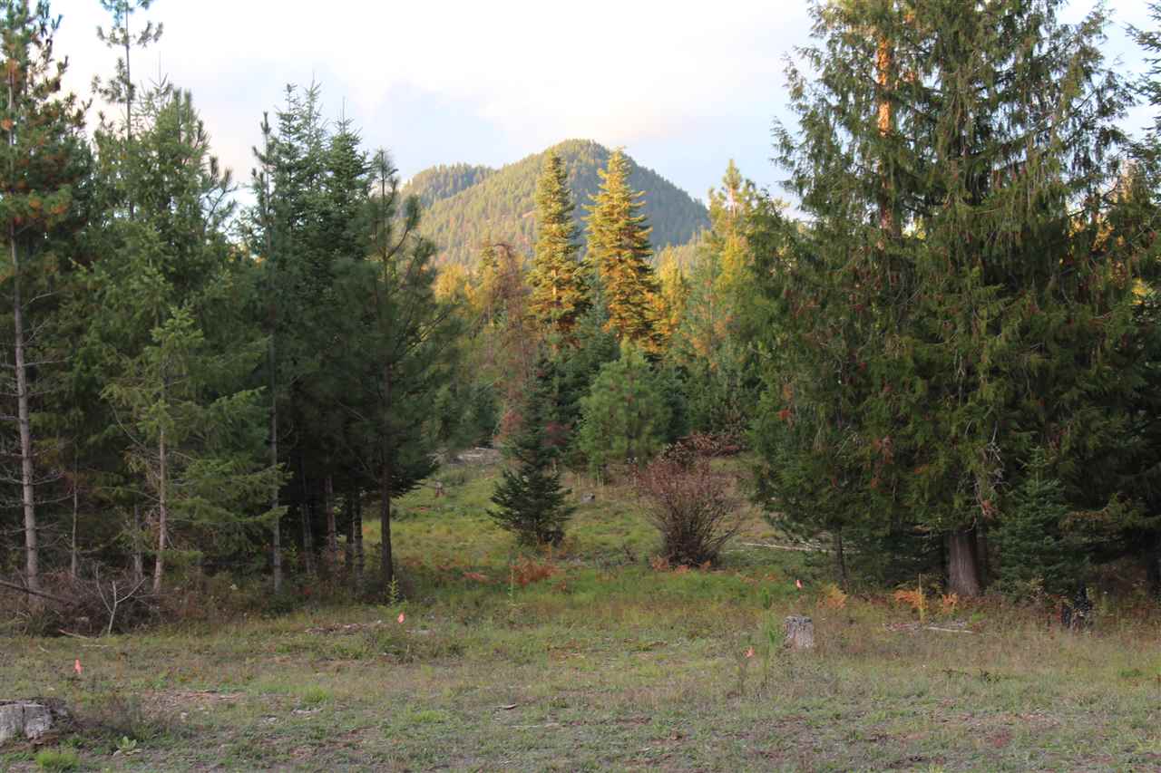 1091 Kings Lake Road Usk, WA 99180 - Photo 17 of 20