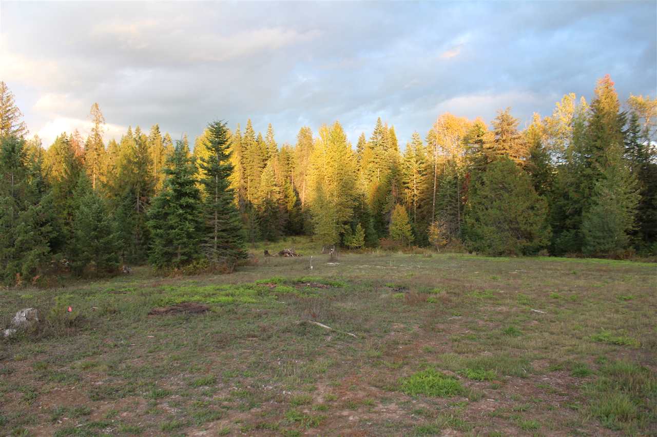 1091 Kings Lake Road Usk, WA 99180 - Photo 9 of 20