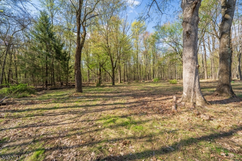 347 Zion Road Hillsborough, NJ 08844 - Photo 10 of 44