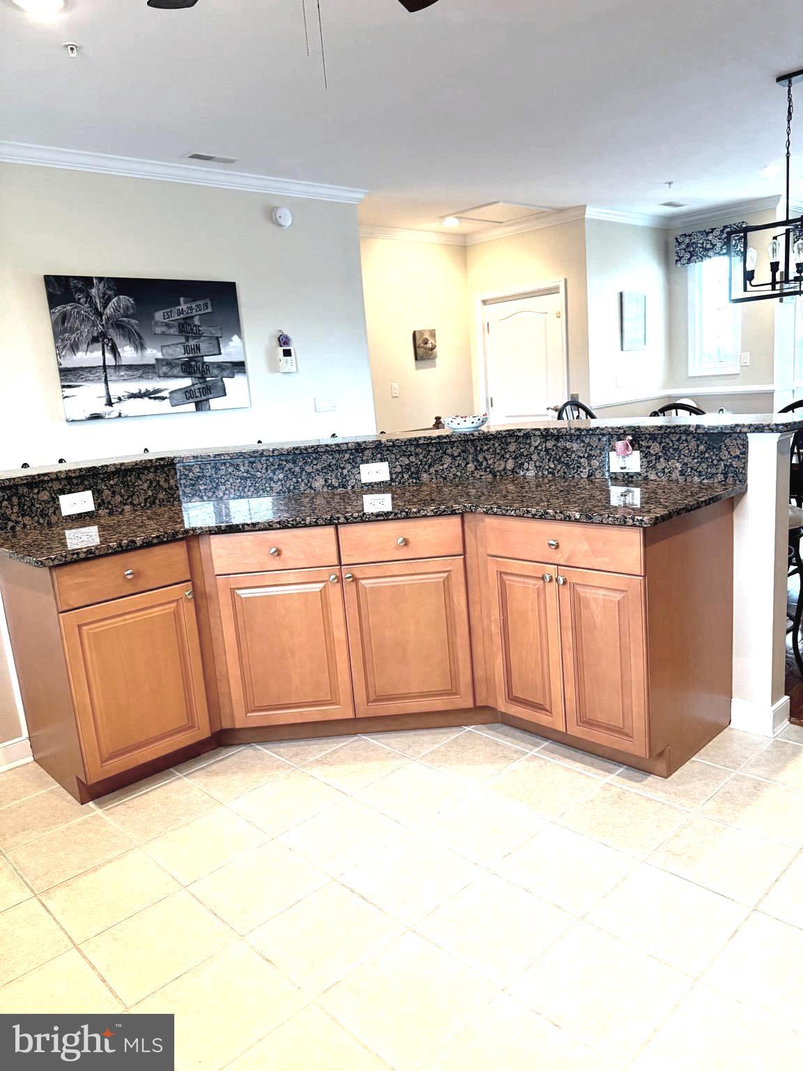 9823 Golf Course Road, Unit 20 Ocean City, MD 21842 - Photo 31 of 61 Island / breakfast bar