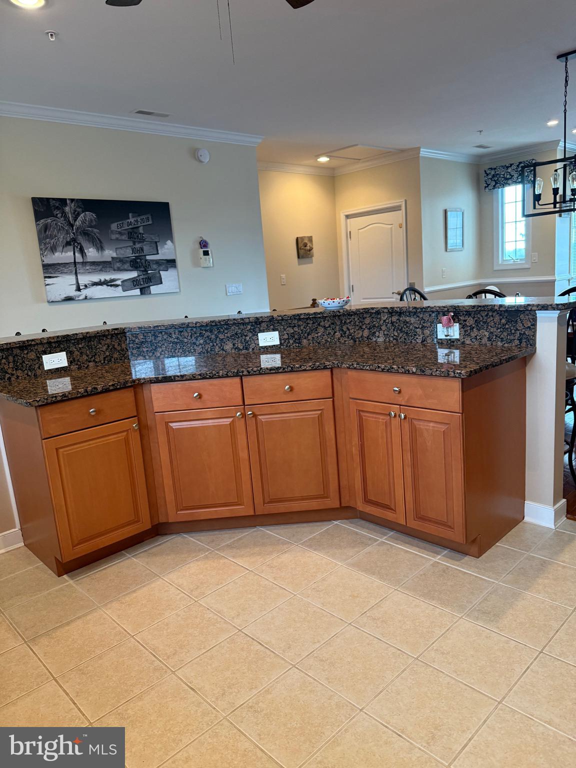 9823 Golf Course Road, Unit 20 Ocean City, MD 21842 - Photo 31 of 61 Island / breakfast bar