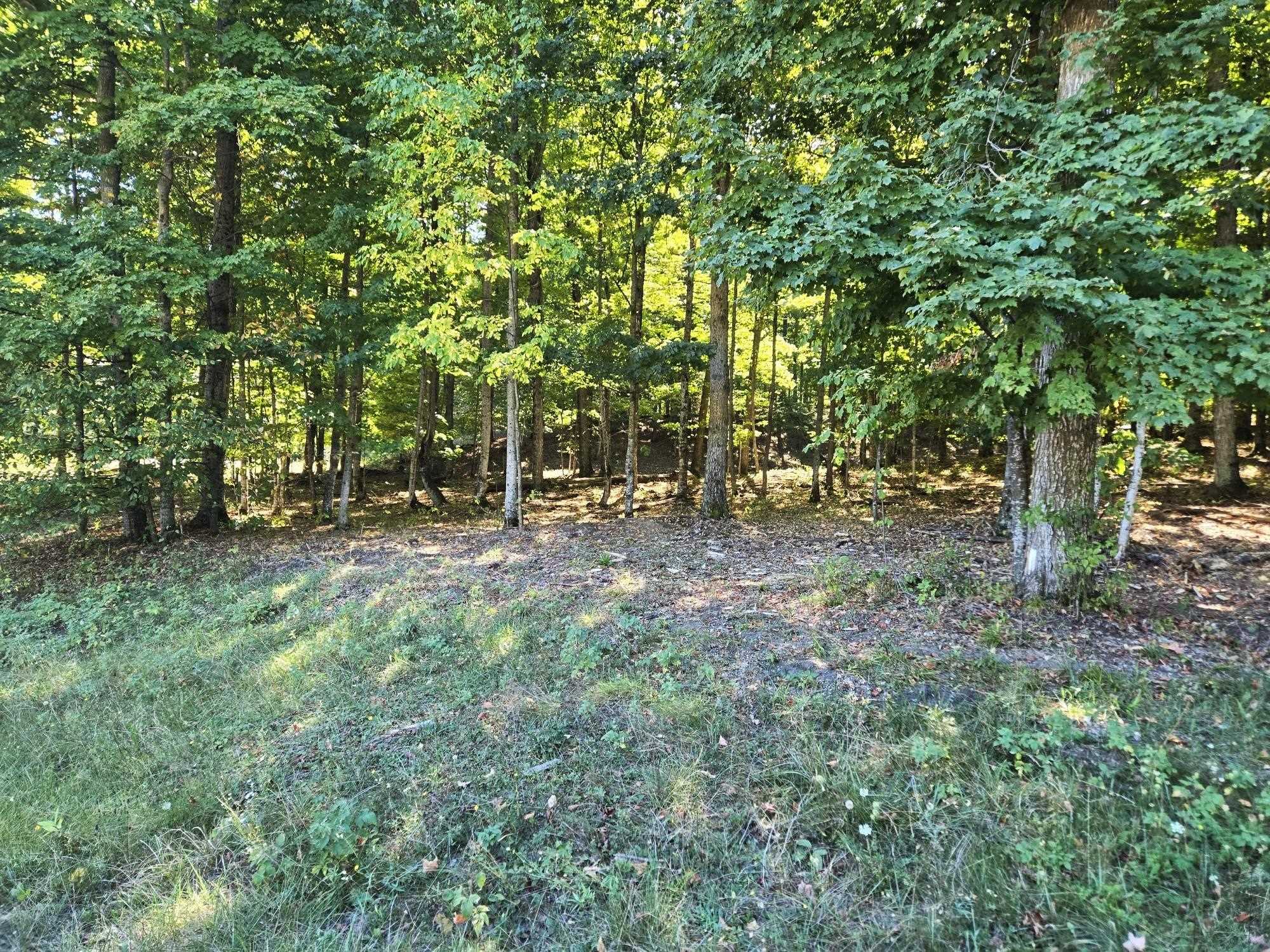 3 Heather Ridge Trail Beulah, MI 49617 - Photo 6 of 8