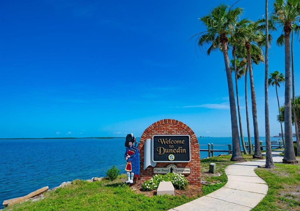 128 Edgewater Terrace Dunedin, FL 34698 - Photo 53 of 59