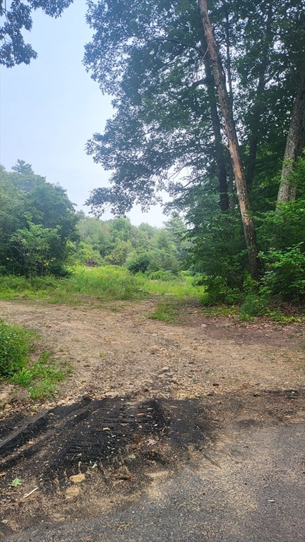 107 Union Road Holland, MA 01521 - Photo 3 of 8 a view of outdoor space and yard