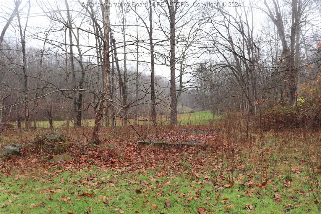 0 Colt Run Road Spencer, WV 25276 - Photo 13 of 25 Gallery Image 13
