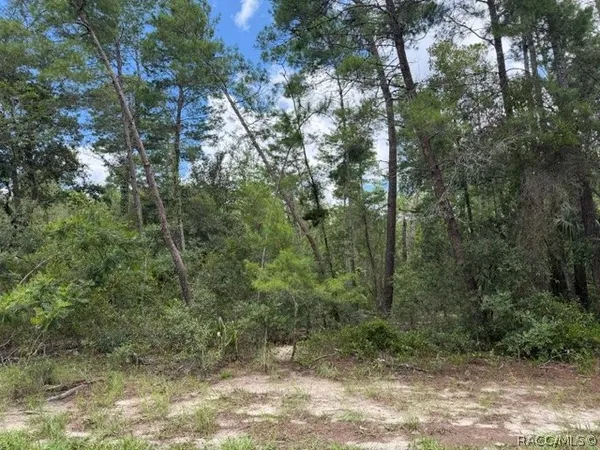 $120,000 | 13 Petunias Court, Homosassa, FL 34446