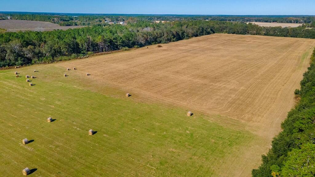0 New Holland Road Batesburg, SC 29006 - Photo 5 of 25