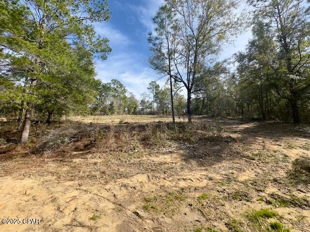Lot #19 Paradise Lakes Road Chipley, FL 32428 - Photo 3 of 7