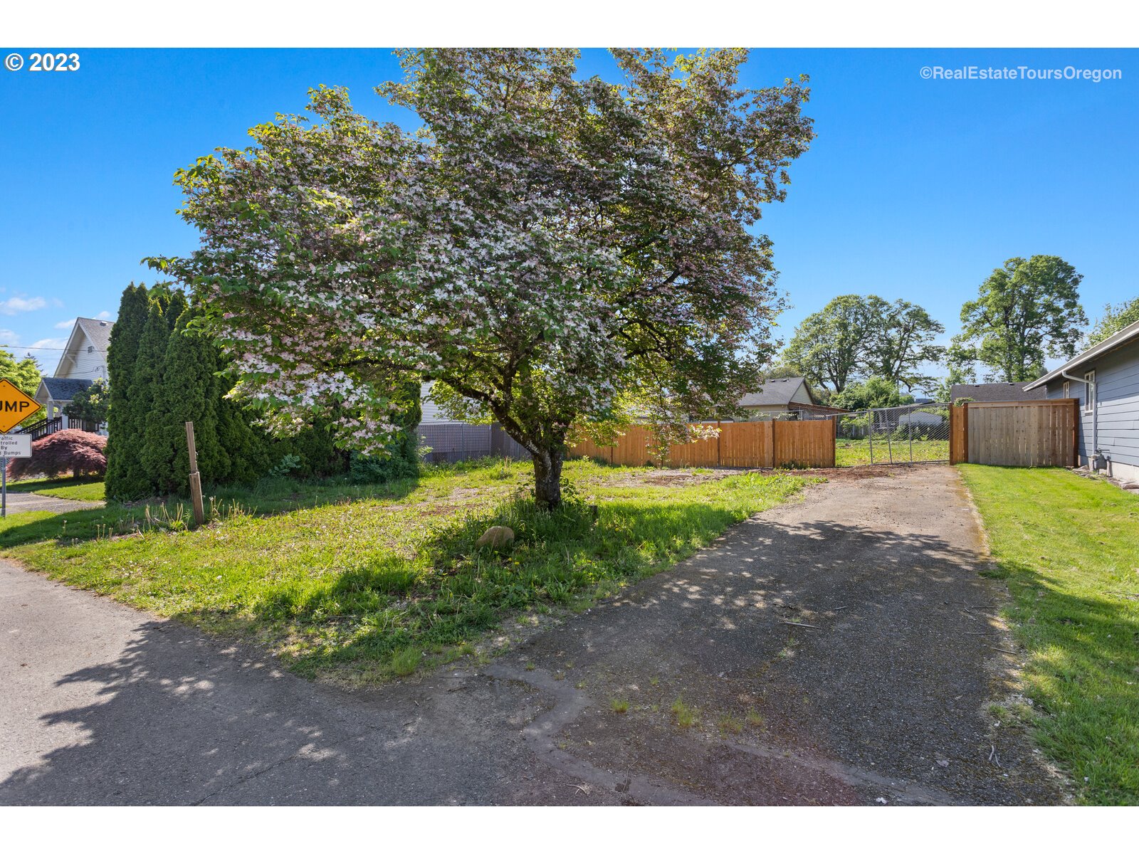330 Harrison Street Fairview, OR 97024 - Photo 2 of 20 a view of a yard with plants and trees
