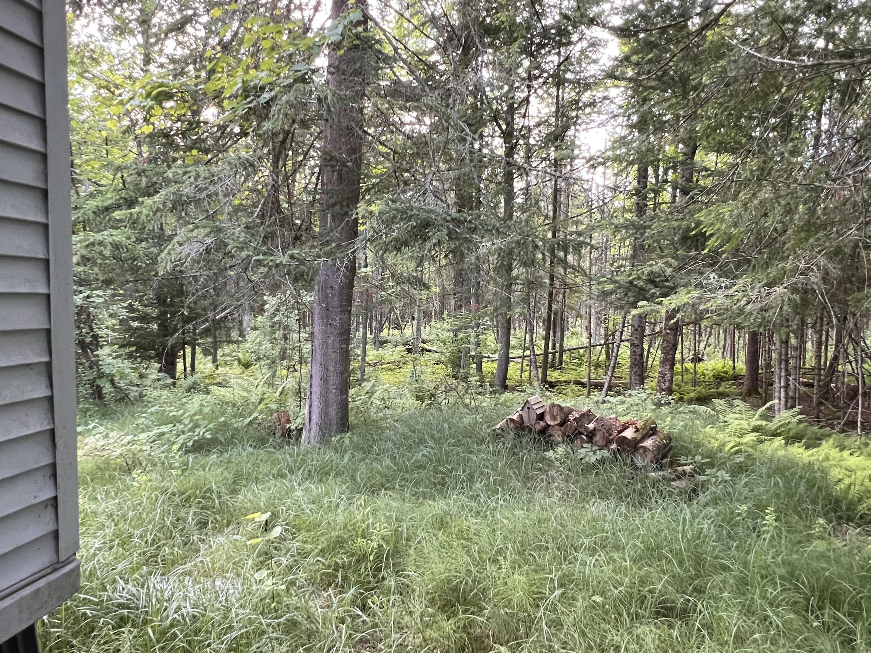 177 Kickerville Road Long Lake, NY 12847 - Photo 18 of 38 Gallery Image 18