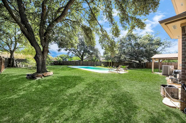 a view of a park with large trees