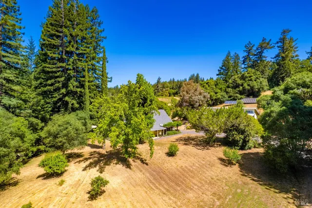 a view of a yard with plants