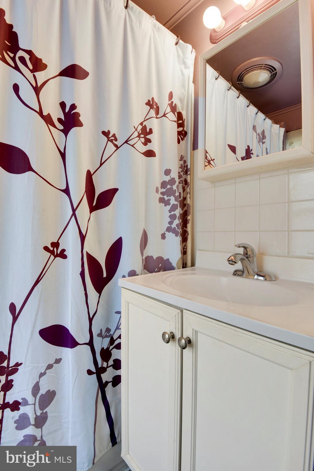 5734 Swamp Circle Road Deale, MD 20751 - Photo 21 of 30 a bathroom with a sink and mirror with bathtub