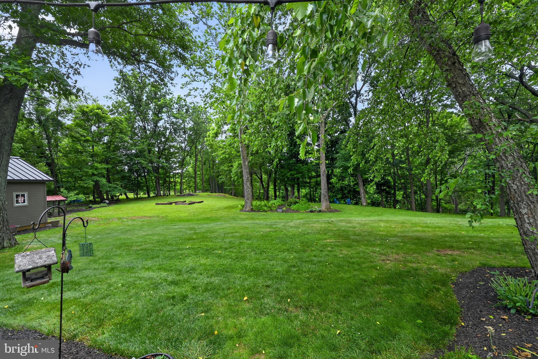460 Wells Road Doylestown, PA 18901 - Photo 42 of 65 Lush green retreat in serene woods.