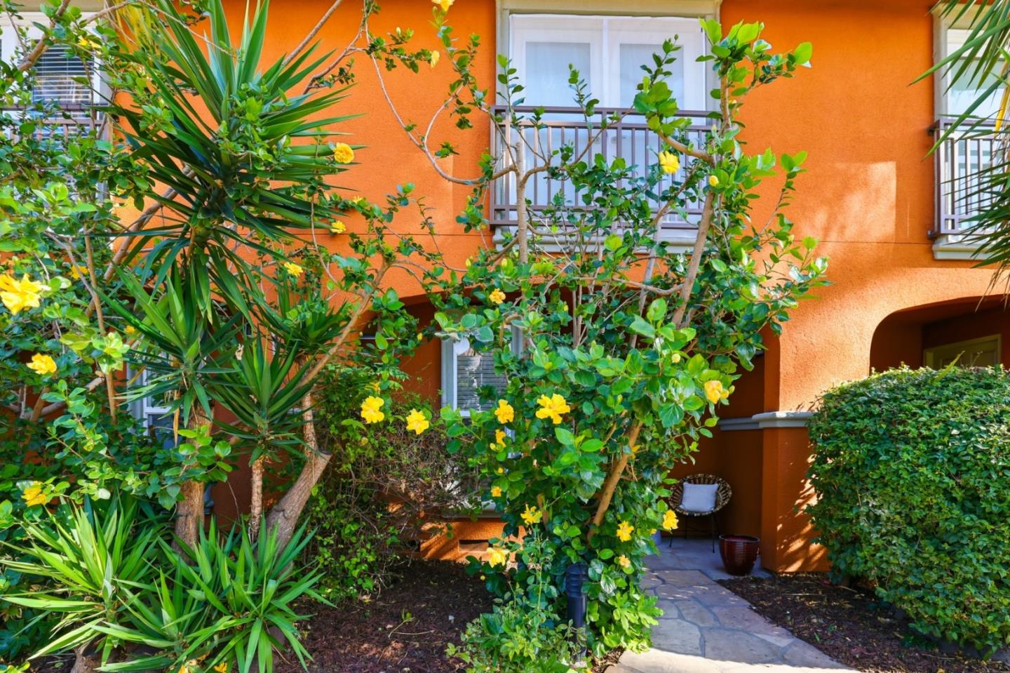 1835 Palm View Place, Unit 105 Santa Clara, CA 95050 - Photo 47 of 49 a plant that is in a garden